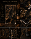 Apothecary Specimen No. 01 | Botanical Resin Display Block | Gothic Curio Décor | Dark Academia Collectible | Preserved Nature Art